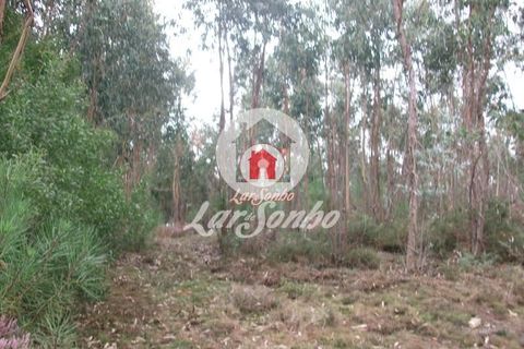Helårsgrund i Vila do Conde, Porto, Vila do Conde - € 43.000 | Ref: 240-T-25688 - foto 8