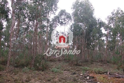 Helårsgrund i Vila do Conde, Porto, Vila do Conde - € 43.000 | Ref: 240-T-25688 - foto 9