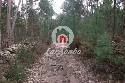Helårsgrund i Vila do Conde, Porto, Vila do Conde - € 43.000 | Ref: 240-T-25688 - foto 11