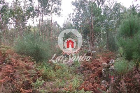 Helårsgrund i Vila do Conde, Porto, Vila do Conde - € 43.000 | Ref: 240-T-25688 - foto 13