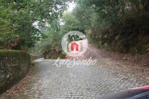 Helårsgrund i Vila do Conde, Porto, Vila do Conde - € 43.000 | Ref: 240-T-25688 - foto 15