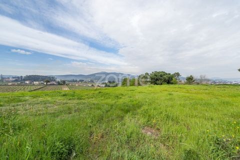 Helårsgrund i Vila Verde, Braga, Vila Verde - € 275.000 | Ref: ZMPT576684 - foto 13