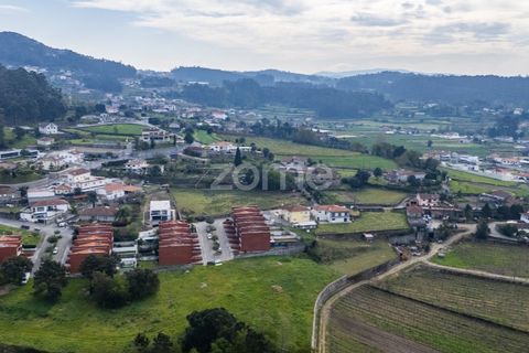 Helårsgrund i Vila Verde, Braga, Vila Verde - € 275.000 | Ref: ZMPT576684 - foto 19