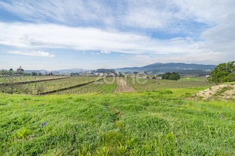 Grond in Vila Verde, Braga, Vila Verde - € 275.000 | Ref: ZMPT576684 - foto 16