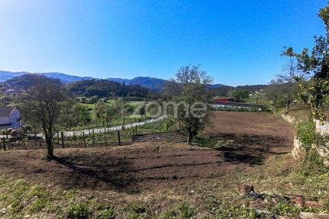 Helårsgrund i Vila Verde, Braga, Vila Verde - € 49.500 | Ref: ZMPT576564 - foto 5