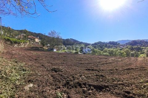 Helårsgrund i Vila Verde, Braga, Vila Verde - € 49.500 | Ref: ZMPT576564 - foto 17