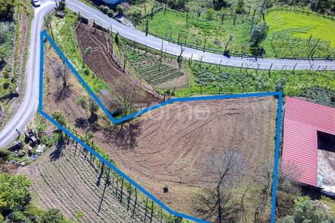 Helårsgrund i Vila Verde, Braga, Vila Verde - € 49.500 | Ref: ZMPT576564 - foto 3