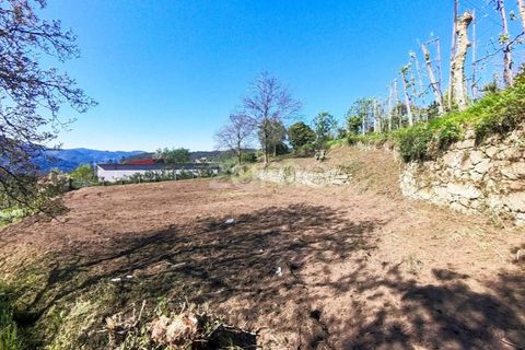 Helårsgrund i Vila Verde, Braga, Vila Verde - € 49.500 | Ref: ZMPT576564 - foto 9