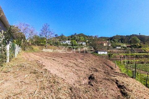 Helårsgrund i Vila Verde, Braga, Vila Verde - € 49.500 | Ref: ZMPT576564 - foto 18