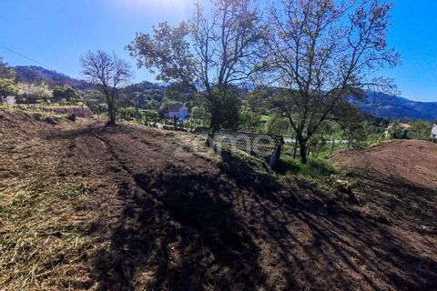 Helårsgrund i Vila Verde, Braga, Vila Verde - € 49.500 | Ref: ZMPT576564 - foto 6