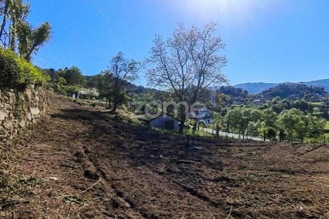 Helårsgrund i Vila Verde, Braga, Vila Verde - € 49.500 | Ref: ZMPT576564 - foto 11