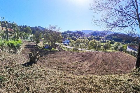 Helårsgrund i Vila Verde, Braga, Vila Verde - € 49.500 | Ref: ZMPT576564 - foto 15