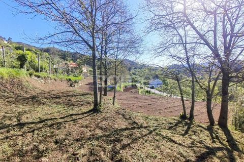 Helårsgrund i Vila Verde, Braga, Vila Verde - € 49.500 | Ref: ZMPT576564 - foto 16
