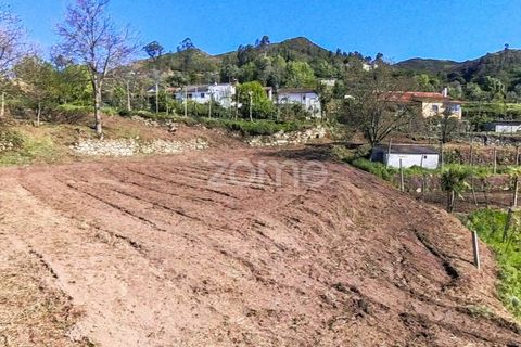 Helårsgrund i Vila Verde, Braga, Vila Verde - € 49.500 | Ref: ZMPT576564 - foto 19
