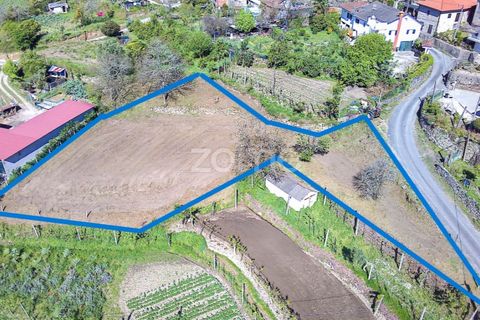 Grond in Vila Verde, Braga, Vila Verde - € 49.500 | Ref: ZMPT576564 - foto 3