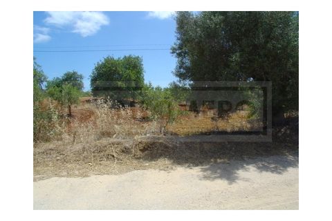 Terra a Guia, Faro, Guia - € 150.000 | Ref: 917 - foto 2