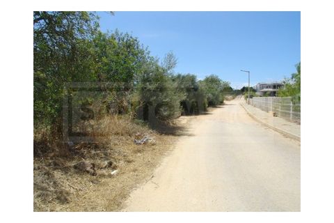 Terra a Guia, Faro, Guia - € 150.000 | Ref: 917 - foto 4