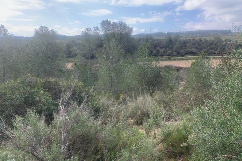 Helårsgrund i Garcia, Tarragona - foto 1