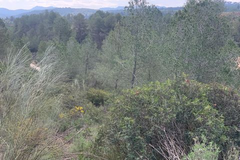 Terra a Garcia, Tarragona, Garcia - € 5.000 | Ref: Gar4011mon - foto 6