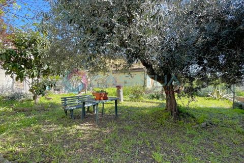 Byhus i Silvi, Teramo, Silvi - € 120.000 | Ref: 26595802 - foto 1