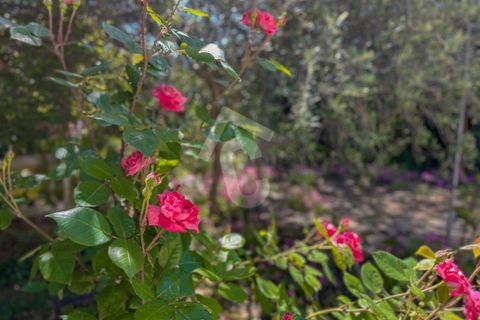 Villa i Jesi, Ancona, Jesi - € 235.000 | Ref: 3050 - foto 4