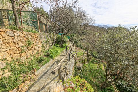 Villa a Ceranesi, Genoa, Ceranesi - € 149.000 | Ref: Montecomego - foto 42