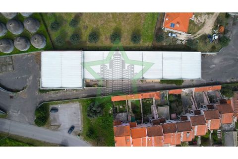 Erhvervsejendom i Tomar, Santarem, Tomar - € 815.000 | Ref: STAR_227 - foto 21
