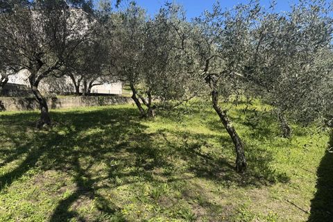 Villa i Nimes, Gard, Nimes - € 390.000 | Ref: 85823148 - foto 10