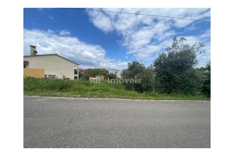 Helårsgrund i Tomar, Santarem, Tomar - € 45.000 | Ref: 01493-25 - foto 5