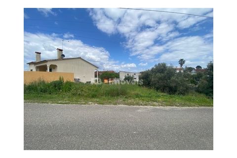 Helårsgrund i Tomar, Santarem, Tomar - € 45.000 | Ref: 01493-25 - foto 4