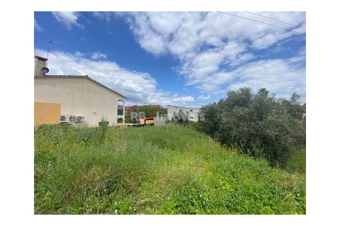 Helårsgrund i Tomar, Santarem, Tomar - € 45.000 | Ref: 01493-25 - foto 3