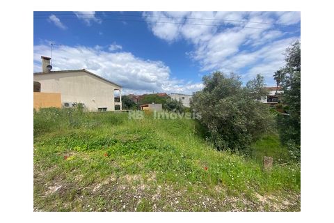 Helårsgrund i Tomar, Santarem, Tomar - € 45.000 | Ref: 01493-25 - foto 1