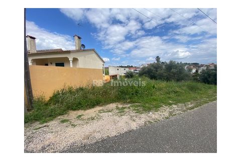 Helårsgrund i Tomar, Santarem, Tomar - € 45.000 | Ref: 01493-25 - foto 7