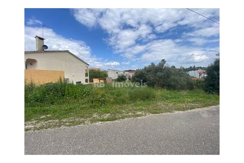 Helårsgrund i Tomar, Santarem, Tomar - € 45.000 | Ref: 01493-25 - foto 2