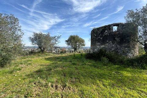 Terra a Assentiz, Santarem, Assentiz - € 60.000 | Ref: 01516-25 - foto 2