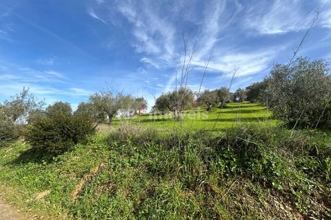 Terra a Assentiz, Santarem, Assentiz - € 60.000 | Ref: 01516-25 - foto 12