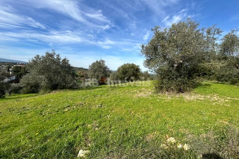 Terra a Assentiz, Santarem, Assentiz - € 60.000 | Ref: 01516-25 - foto 14