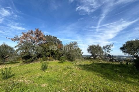 Terra a Assentiz, Santarem, Assentiz - € 60.000 | Ref: 01516-25 - foto 15