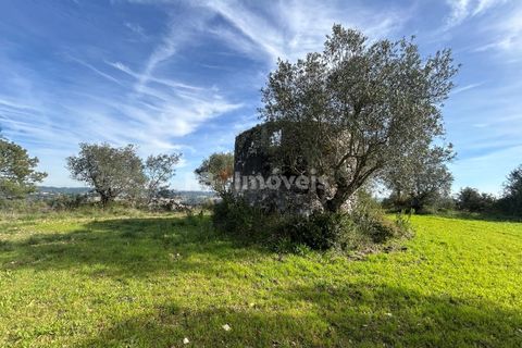 Terra a Assentiz, Santarem, Assentiz - € 60.000 | Ref: 01516-25 - foto 4