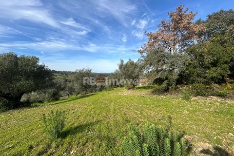 Terra a Assentiz, Santarem, Assentiz - € 60.000 | Ref: 01516-25 - foto 17