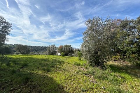 Terra a Assentiz, Santarem, Assentiz - € 60.000 | Ref: 01516-25 - foto 18