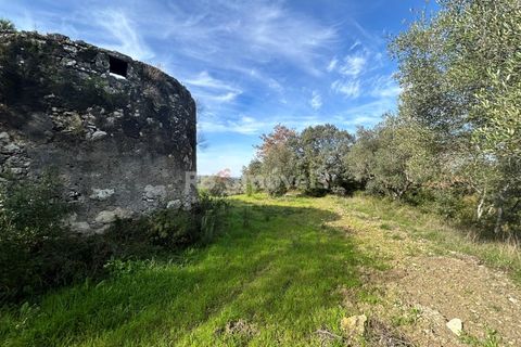 Terra a Assentiz, Santarem, Assentiz - € 60.000 | Ref: 01516-25 - foto 19