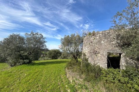 Terra a Assentiz, Santarem, Assentiz - € 60.000 | Ref: 01516-25 - foto 21