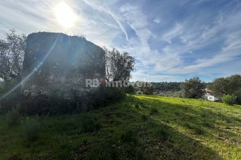 Terra a Assentiz, Santarem, Assentiz - € 60.000 | Ref: 01516-25 - foto 23