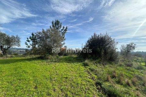 Terra a Assentiz, Santarem, Assentiz - € 60.000 | Ref: 01516-25 - foto 24