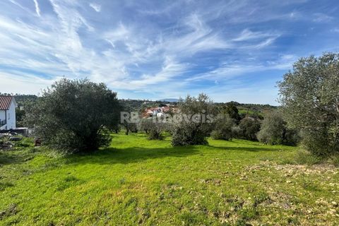Terra a Assentiz, Santarem, Assentiz - € 60.000 | Ref: 01516-25 - foto 25