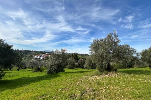 Terra a Assentiz, Santarem, Assentiz - € 60.000 | Ref: 01516-25 - foto 26