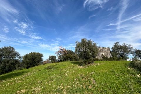 Terra a Assentiz, Santarem, Assentiz - € 60.000 | Ref: 01516-25 - foto 28