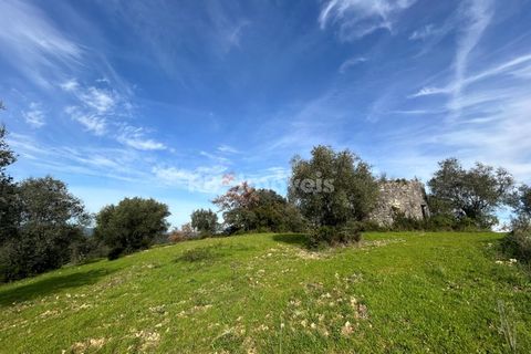 Terra a Assentiz, Santarem, Assentiz - € 60.000 | Ref: 01516-25 - foto 29