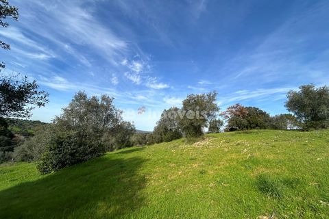 Terra a Assentiz, Santarem, Assentiz - € 60.000 | Ref: 01516-25 - foto 30